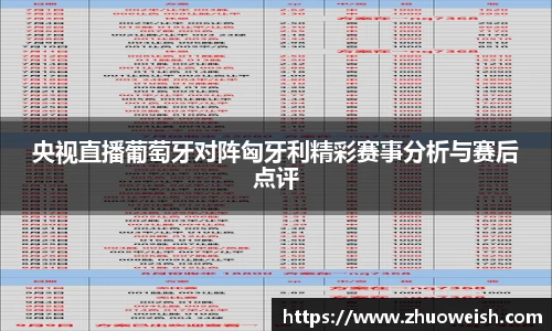 央视直播葡萄牙对阵匈牙利精彩赛事分析与赛后点评