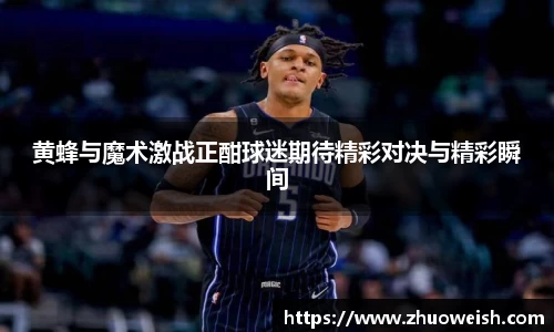BSports官网入口
