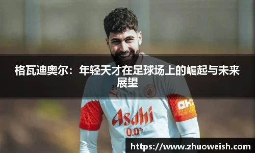 BSports官网入口