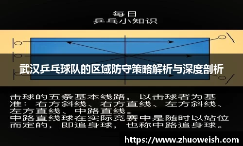 武汉乒乓球队的区域防守策略解析与深度剖析